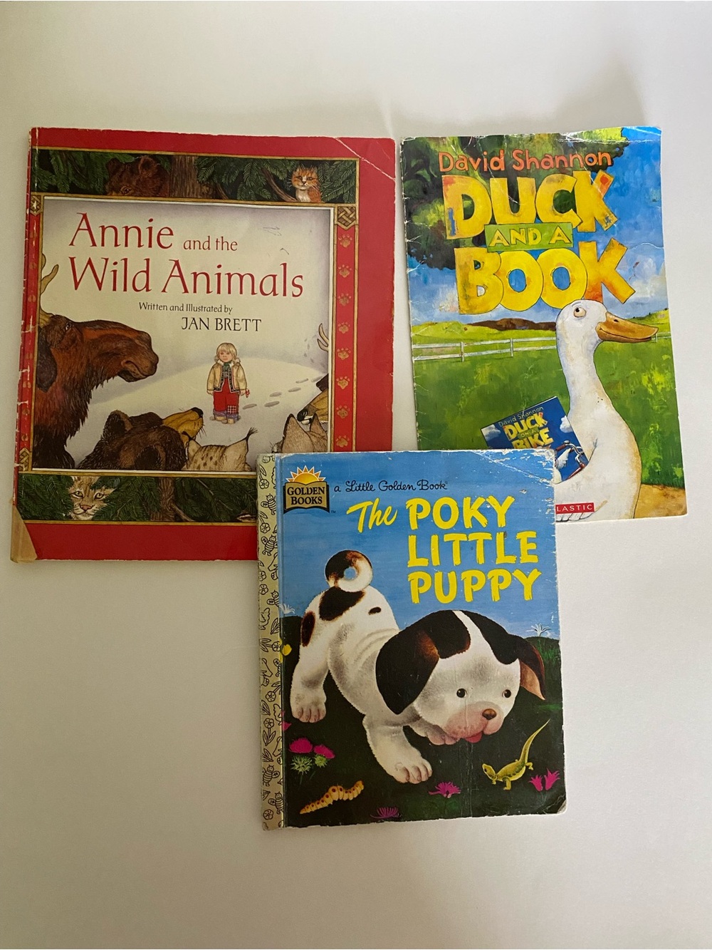 3 book bundle Annie and the Wild Animals, Duck & A Book, The Poky Little Puppy